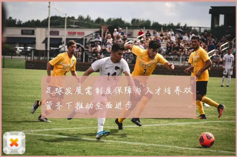 足球发展需制度保障与人才培养双管齐下推动全面进步