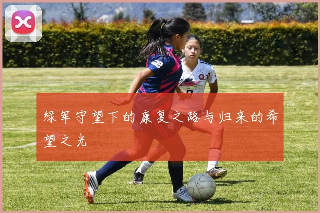 绿军守望下的康复之路与归来的希望之光